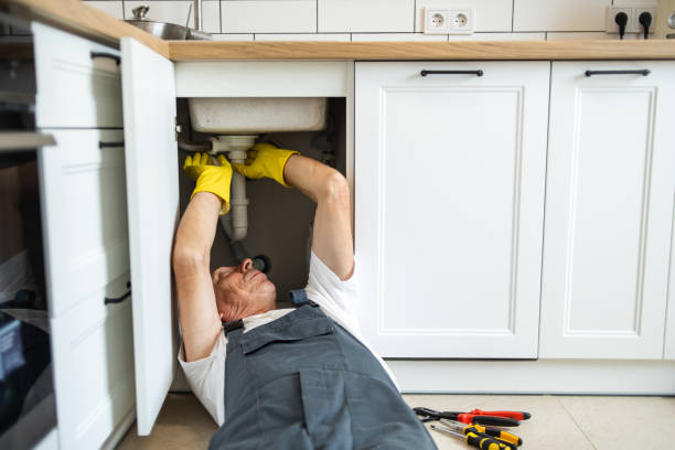 Best Same-Day Plumbing Service  in Mirrormont, WA