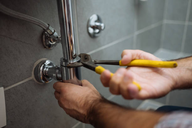 Best Septic Systems  in Mirrormont, WA